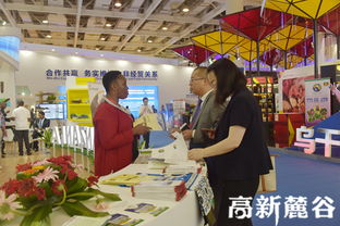 第一届中国 非洲经贸博览会在长沙开幕